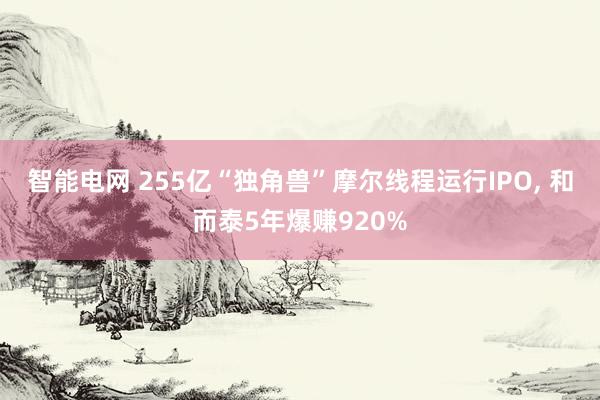 智能电网 255亿“独角兽”摩尔线程运行IPO, 和而泰5年爆赚920%