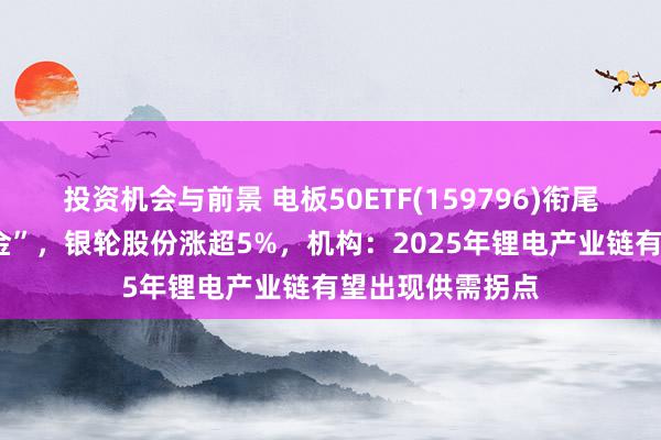 投资机会与前景 电板50ETF(159796)衔尾8个交游日