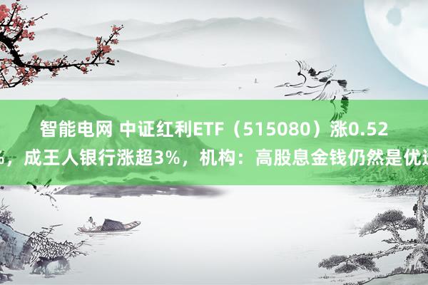 智能电网 中证红利ETF（515080）涨0.52%，成王人