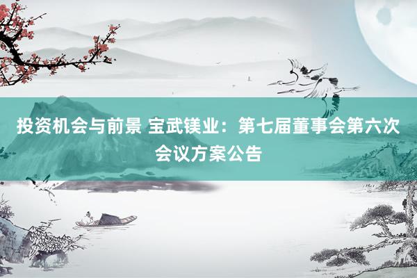 投资机会与前景 宝武镁业：第七届董事会第六次会议方案公告