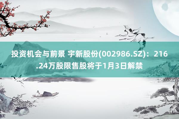 投资机会与前景 宇新股份(002986.SZ)：216.24万股限售股将于1月3日解禁