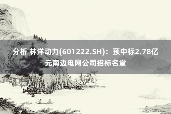 分析 林洋动力(601222.SH)：预中标2.78亿元南边电网公司招标名堂