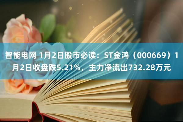 智能电网 1月2日股市必读：ST金鸿（000669）1月2日收盘跌5.21%，主力净流出732.28万元