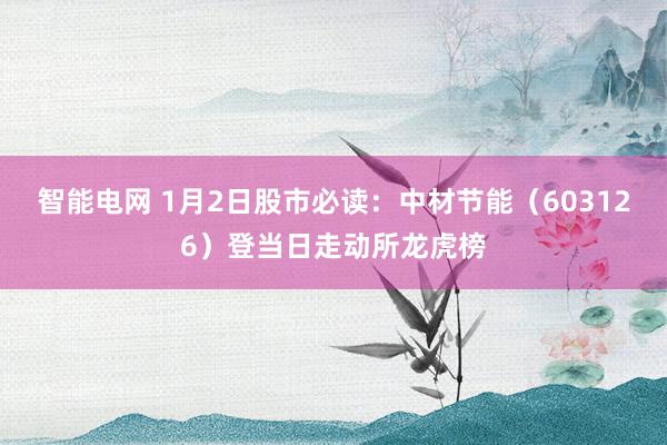 智能电网 1月2日股市必读：中材节能（603126）登当日走动所龙虎榜