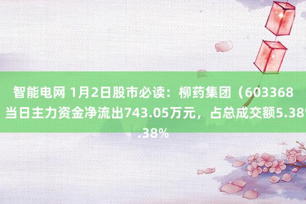 智能电网 1月2日股市必读：柳药集团（603368）当日主力资金净流出743.05万元，占总成交额5.38%