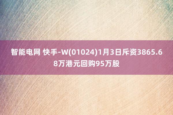 智能电网 快手-W(01024)1月3日斥资3865.68万港元回购95万股