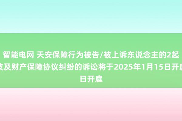 智能电网 天安保障行为被告/被上诉东说念主的2起波及财产保障