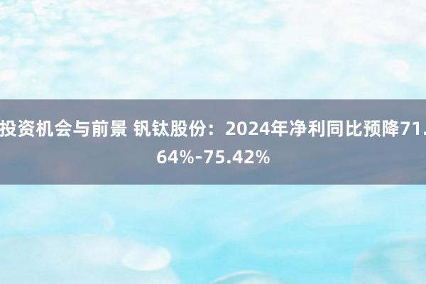 投资机会与前景 钒钛股份：2024年净利同比预降71.64%