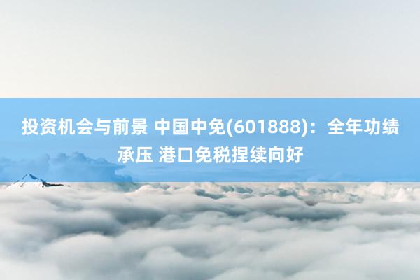 投资机会与前景 中国中免(601888)：全年功绩承压 港口免税捏续向好