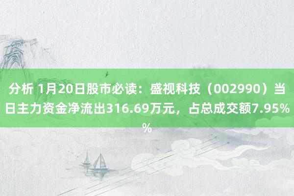 分析 1月20日股市必读：盛视科技（002990）当日主力资金净流出316.69万元，占总成交额7.95%