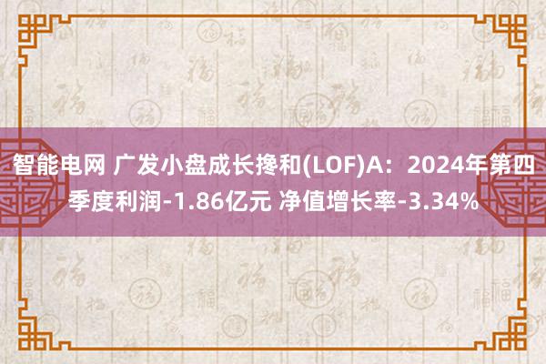 智能电网 广发小盘成长搀和(LOF)A：2024年第四季度利润-1.86亿元 净值增长率-3.34%