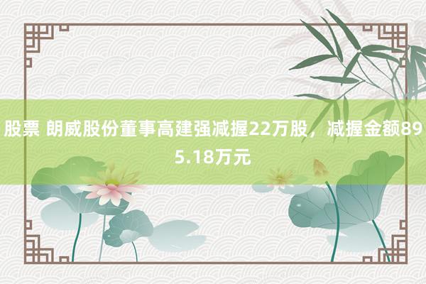 股票 朗威股份董事高建强减握22万股，减握金额895.18万元