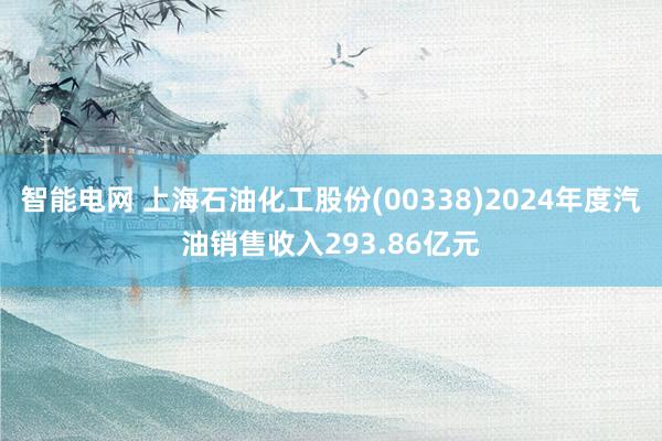 智能电网 上海石油化工股份(00338)2024年度汽油销售收入293.86亿元