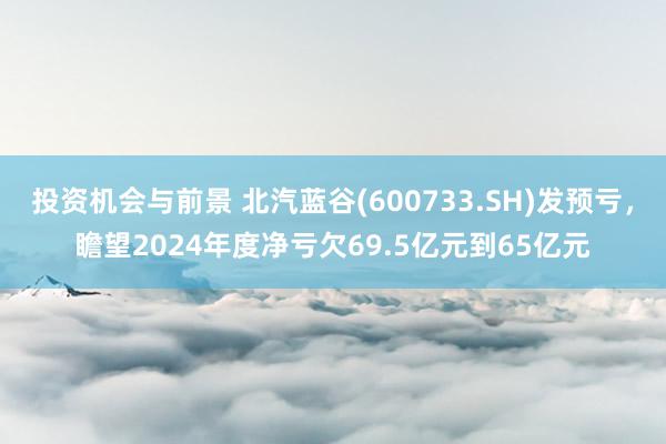 投资机会与前景 北汽蓝谷(600733.SH)发预亏，瞻望2024年度净亏欠69.5亿元到65亿元