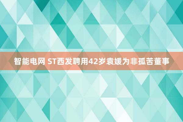 智能电网 ST西发聘用42岁袁媛为非孤苦董事