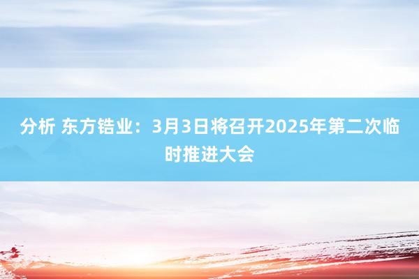 分析 东方锆业：3月3日将召开2025年第二次临时推进大会