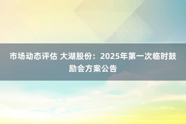 市场动态评估 大湖股份：2025年第一次临时鼓励会方案公告