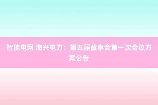 智能电网 海兴电力：第五届董事会第一次会议方案公告