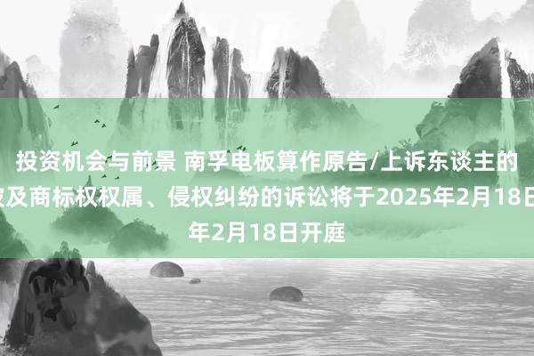 投资机会与前景 南孚电板算作原告/上诉东谈主的1起波及商标权权属、侵权纠纷的诉讼将于2025年2月18日开庭