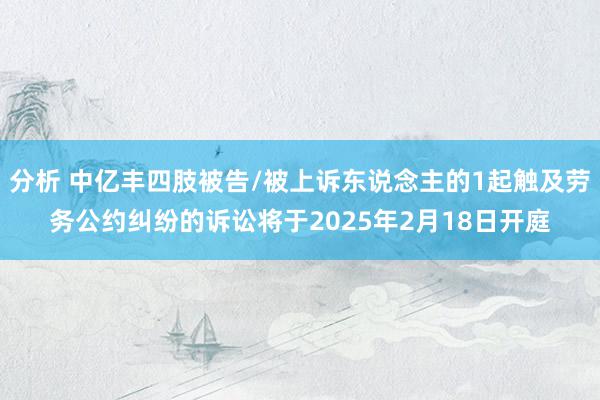 分析 中亿丰四肢被告/被上诉东说念主的1起触及劳务公约纠纷的诉讼将于2025年2月18日开庭