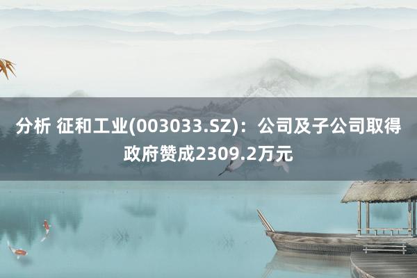 分析 征和工业(003033.SZ)：公司及子公司取得政府赞成2309.2万元