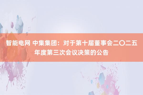 智能电网 中集集团：对于第十届董事会二〇二五年度第三次会议决策的公告