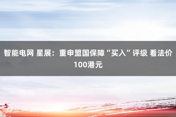 智能电网 星展：重申盟国保障“买入”评级 看法价100港元