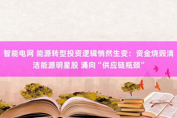 智能电网 能源转型投资逻辑悄然生变：资金烧毁清洁能源明星股 涌向“供应链瓶颈”