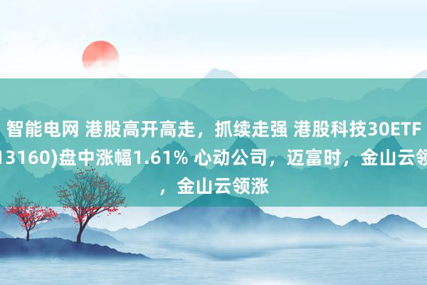 智能电网 港股高开高走，抓续走强 港股科技30ETF(513160)盘中涨幅1.61% 心动公司，迈富时，金山云领涨