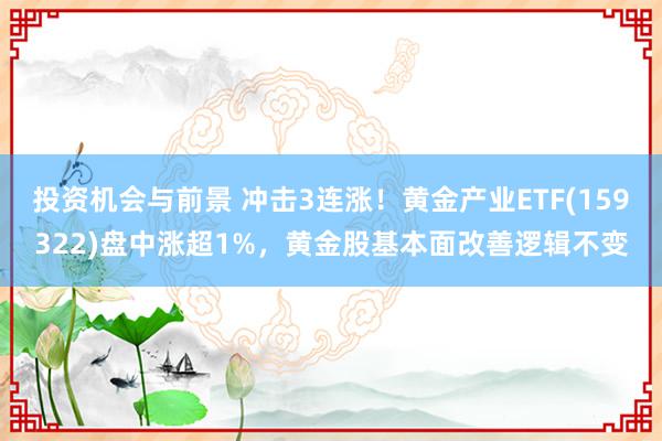 投资机会与前景 冲击3连涨！黄金产业ETF(159322)盘中涨超1%，黄金股基本面改善逻辑不变